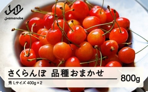 s\  i킨܂ Gi L 400g×2 2026NY ߘa8NY R`Y mm-saosx800R`RӒ25000ʕEt[c