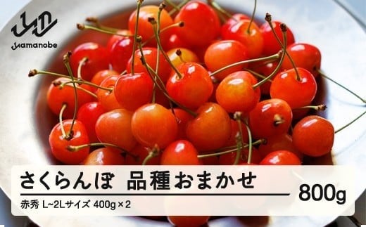 先行予約 さくらんぼ 品種おまかせ 赤秀品 ご家庭用 L-2L玉 400g×2 2026年産 令和8年産 山形県産 mm-saoax800山形県山辺町20000果物・フルーツさくらんぼ