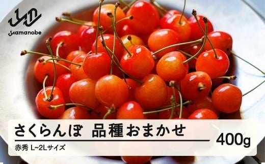 先行予約 さくらんぼ 品種おまかせ 赤秀品 ご家庭用 L-2L玉 400g 2026年産 令和8年産 山形県産 mm-saoax400山形県山辺町11000果物・フルーツさくらんぼ