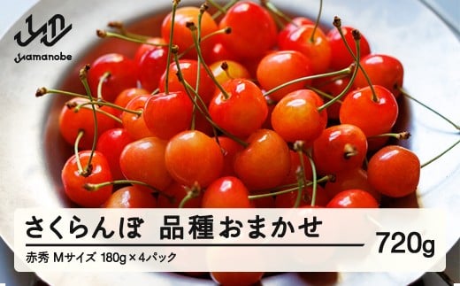 【先行予約】 さくらんぼ 品種おまかせ 赤秀品 M玉 180g×4パック ご家庭用 2026年産 令和8年産 山形県産 mm-saoam720山形県山辺町13500果物・フルーツさくらんぼ