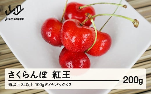 ys\z  g 3Lȏ Gȏ 100g_CpbN×2 2026NY ߘa8NY R`Y  mm-yb3ld200 Eւ̔zsR`RӒ22000ʕEt[c