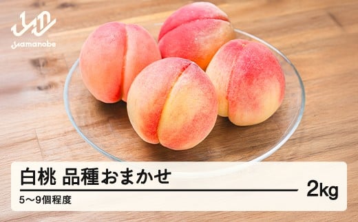 【先行予約】もも 白桃 品種おまかせ 約2kg 令和8年産 2026年産 山形県産 果物  mm-mokox2000 ※沖縄・離島への配送不可山形県山辺町12000果物・フルーツもも・すもも