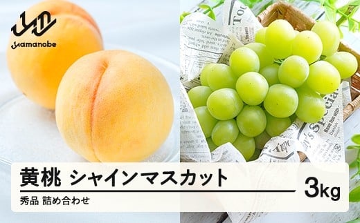《先行予約》シャインマスカット 秀品 & 有袋黄桃 詰め合わせ 3kg 令和8年産 2026年産 果物 桃 白桃 ※沖縄・離島への配送不可 ns-fsosx3山形県山辺町20000果物・フルーツその他 果物・フルーツ