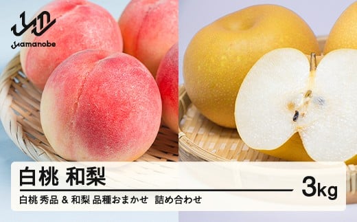 《先行予約》もも 白桃 秀品 和梨 詰め合わせ 品種おまかせ 化粧箱入り 3kg フルーツ 果物 アソート 2026年産 令和8年産 山形県産  ns-fshnx3 ※沖縄・離島への配送不可山形県山辺町13000果物・フ