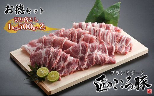 uh|[Nû؁v؂藎Ƃ1kgi500g×2jӂ邳Ɣ[ŌZbgySES@JGAPE_HACCPF؎擾z [5734-0094]葺12000ؓ