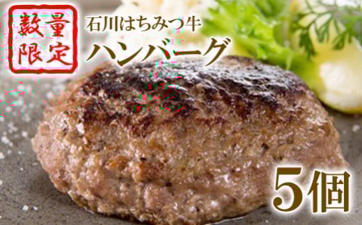 yʌzΐ݂͂no[Oi5jy13001zΐ쒬17000HinE\[Z[Wj