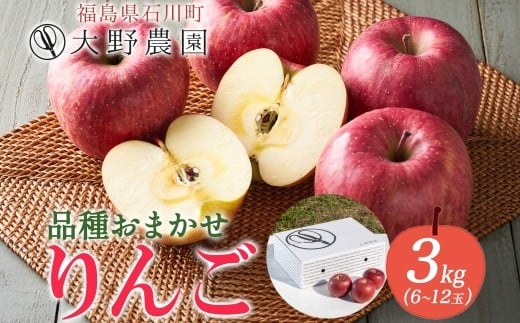 りんご3kg 品種お任せ 6〜12玉 | リンゴ 旬 ランダム 林檎 果物 フルーツ 甘い アップル 産直 大野農園 福島県 石川町【19010】福島県石川町14000果物・フルーツりんご・梨