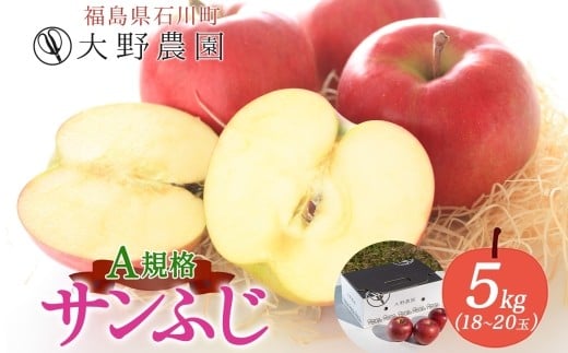 サンふじ 5kg A規格 18〜20玉 | りんご リンゴ 旬 林檎 果物 フルーツ 甘い アップル 産直 大野農園 福島県 石川町【19015】福島県石川町19000果物・フルーツりんご・梨