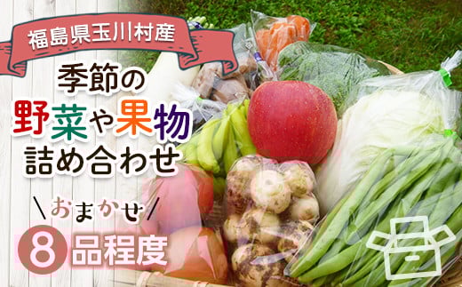 FT18-256 季節の産直売場の野菜と果物詰め合わせ(小)福島県玉川村19000野菜・きのこその他 野菜