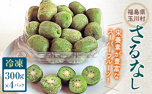 FT18-259 【先行予約】 さるなし 冷凍 1.2kg ベビーキウイ こくわ スーパーフルーツ 果物 フルーツ 福島県 玉川村福島県玉川村16000果物・フルーツその他 果物・フルーツ