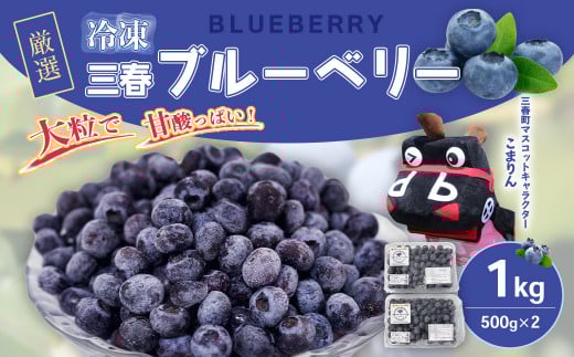 三春冷凍ブルーベリー 500g×2パック/計1kg 【三春町産 冷凍ブルーベリー 大粒 福島県 三春町 三春ブルーベリー倶楽部 有機質肥料 果物 国産 フルーツ 果実 旬 お中元 夏 ギフト プレゼント