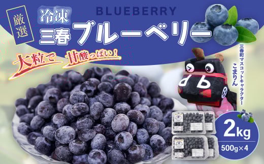 三春冷凍ブルーベリー 500g×4パック/計2kg 【三春町産 冷凍ブルーベリー 大粒 福島県 三春町 三春ブルーベリー倶楽部 有機質肥料 果物 国産 フルーツ 果実 旬 お中元 夏 ギフト プレゼント