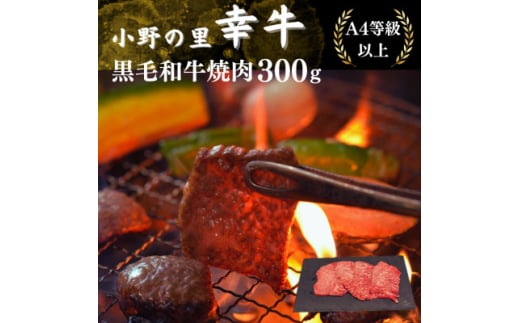 ̗EKјaē@300gy1133287z쒬13000