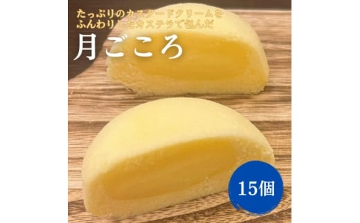 月ごころ15個入り【1630862】福島県小野町9000菓子・スイーツその他 和菓子