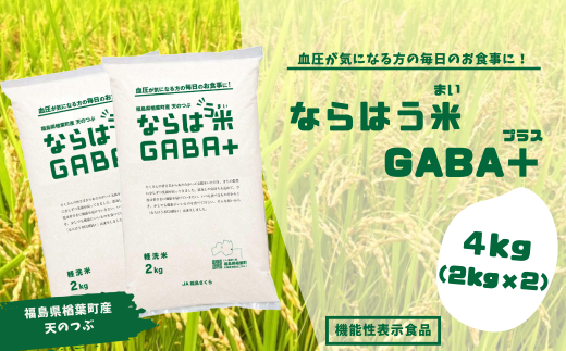 Ȃ͂GABA+@4kg@tYV̂ԁ@yGABA   V̂   V̂ t Y N @\ GABA y A~m_ Y 蕨 ͂zt13000