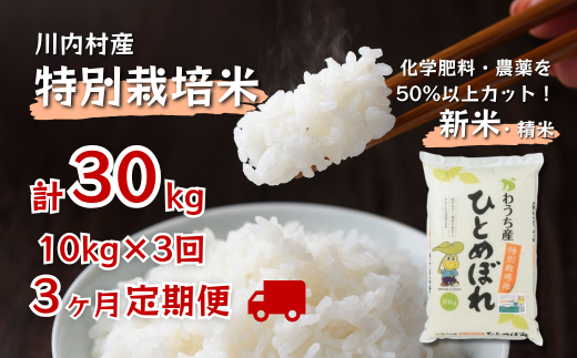 数量限定 【定期便3回】 特別栽培米 ひとめぼれ 10kg×3ヵ月 (令和6年度かわうち産)福島県川内村90000米・パン白米