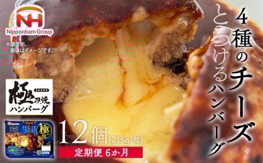 【定期便】極み焼きハンバーグ(4種のチーズソース)セット定期便6か月 定期便 ※沖縄県・離島への配送不可茨城県常総市93000鍋セット・総菜・加工食品総菜