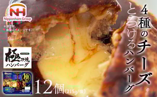 極み焼きハンバーグ(4種のチーズソース)セット 加工食品 惣菜 レトルト ※沖縄県・離島への配送不可茨城県常総市16000鍋セット・総菜・加工食品総菜