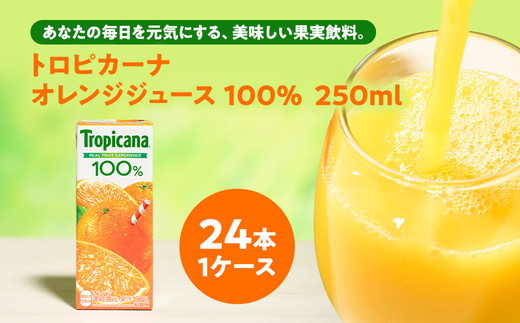 トロピカーナ 100% オレンジ 250ml LLスリム×24本 ジュース 飲料 フルーツ 紙パック 贈答品 贈り物茨城県常総市15000お茶・飲料果汁・野菜飲料