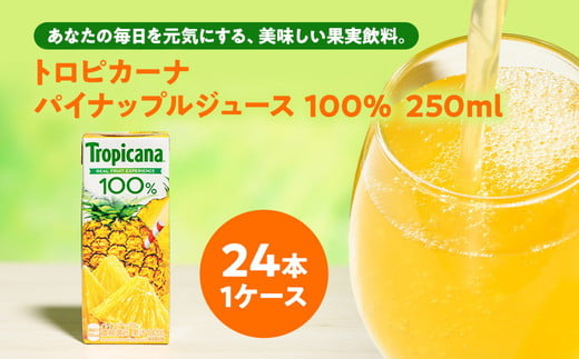 トロピカーナ 100% パインアップル 250ml LLスリム ×24本【ジュース 飲料 フルーツ 紙パック 贈答品 贈り物 】茨城県常総市13000お茶・飲料果汁・野菜飲料