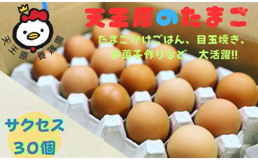 【天王原のたまご】サクセス卵30個入り茨城県常総市9500卵・乳製品卵(鶏、烏骨鶏等)