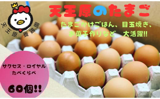 yV̂܂zTNZX30/C30錧푍s16000Eii{AG{j
