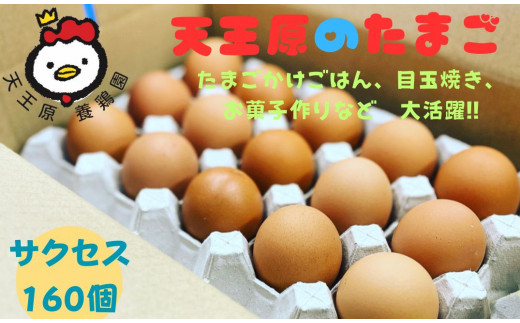 【天王原のたまご】サクセス卵160個入り茨城県常総市30000卵・乳製品卵(鶏、烏骨鶏等)
