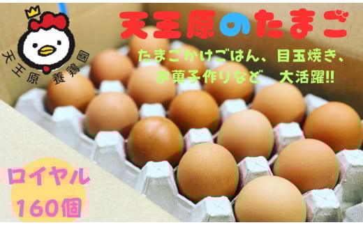 【天王原のたまご】ロイヤル卵160個入り茨城県常総市35000卵・乳製品卵(鶏、烏骨鶏等)