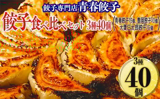 餃子専門店青春餃子 餃子食べ比べセット 3種40個(青春餃子15個、豊岡餃子10個、大葉三太郎餃子15個)茨城県常総市14000肉その他 肉