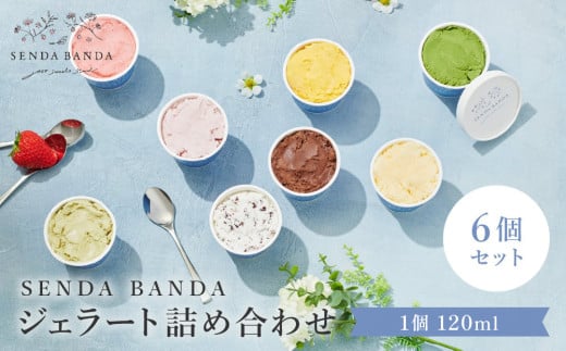 SENDA BANDA WF[glߍ킹120ml×6 Z~N×Q ~N `R[g sX^`I ~NeB[5ނŌv6_bWF[g XC[c Xَq ACX ACXN[