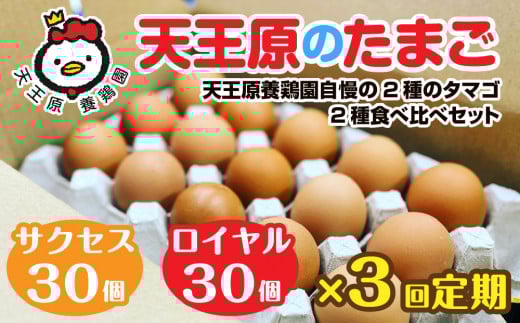 【定期便】3回定期【天王原のたまご】 サクセス卵30個/ロイヤル卵30個 【3回定期便 セット たまご 卵 玉子 タマゴ 濃厚 食べ比べ ハリ 弾力 ボリューム 甘味 旨味 卵黄 風味 生 コク 甘味 卵