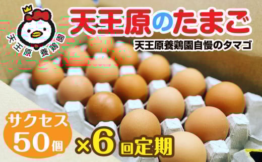 【定期便】6回定期 【天王原のたまご】 サクセス卵 50個入り【定期便 6回定期便 セット たまご 卵 玉子 タマゴ 濃厚  ハリ 弾力 ボリューム 甘味 旨味 卵黄 風味 生 コク 甘味 卵かけご飯 卵焼