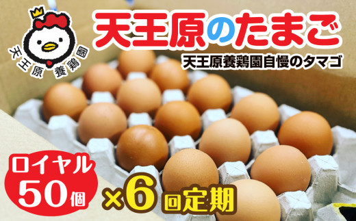 【定期便】6回定期 【天王原のたまご】 ロイヤル卵 50個入り【定期便 6回定期便 セット たまご 卵 玉子 タマゴ 濃厚  ハリ 弾力 ボリューム 甘味 旨味 卵黄 風味 生 コク 甘味 卵かけご飯 卵焼