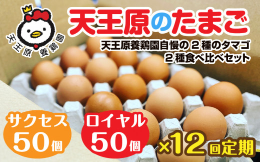 【定期便】12回定期 【天王原のたまご】 サクセス卵50個/ロイヤル卵50個【定期便 12回定期便 セット たまご 卵 玉子 タマゴ 濃厚  ハリ 弾力 ボリューム 甘味 旨味 卵黄 風味 生 コク 甘味 卵か