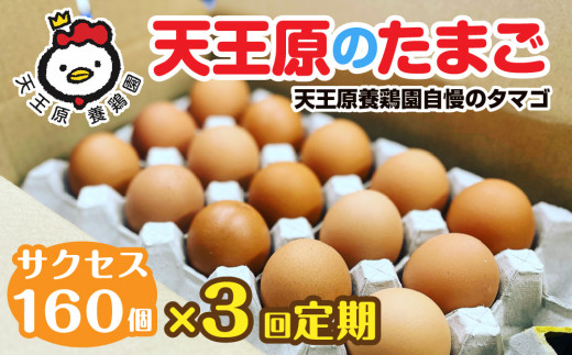【定期便】3回定期 【天王原のたまご】 サクセス卵160個入り【定期便 3回定期便 セット たまご 卵 玉子 タマゴ 濃厚  ハリ 弾力 ボリューム 甘味 旨味 卵黄 風味 生 コク 甘味 卵かけご飯 卵焼