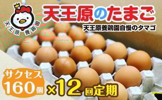 【定期便】12回定期 【天王原のたまご】 サクセス卵160個入り【定期便 12回定期便 セット たまご 卵 玉子 タマゴ 濃厚  ハリ 弾力 ボリューム 甘味 旨味 卵黄 風味 生 コク 甘味 卵かけご飯 卵