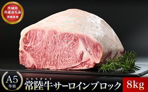 y錧ʕԗiz錧Y 헤A5T[CubN8kg b   A5 T[C [낢 ubN ~ Xe[L ā[ ē o[xL[  _炩 j W[V[