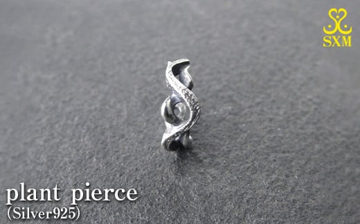 plant pierce茨城県常総市20000衣類・装飾品・工芸品アクセサリー