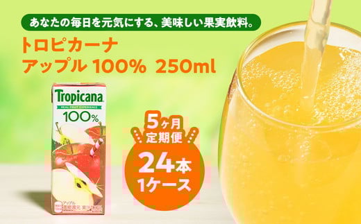 【定期便5ヶ月】トロピカーナ 100% アップル 250ml LLスリム×24本 ※離島への配送不可茨城県常総市65000お茶・飲料果汁・野菜飲料