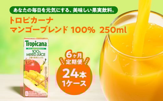 y6zgsJ[i 100 }S[uh 250ml LLX×24{ ւ̔zs錧푍s78000Eʏ`E؈