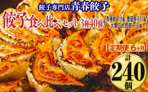 【定期便6ヶ月】餃子専門店青春餃子 餃子食べ比べセット 3種40個(青春餃子15個、豊岡餃子10個、大葉三太郎餃子15個)(計240個)茨城県常総市84000肉その他 肉