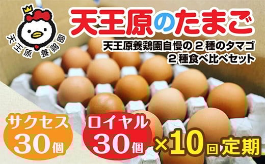 【定期便】10回定期【天王原のたまご】 サクセス卵30個/ロイヤル卵30個 【10回定期便 セット たまご 卵 玉子 タマゴ 濃厚 食べ比べ ハリ 弾力 ボリューム 甘味 旨味 卵黄 風味 生 コク 甘味 卵
