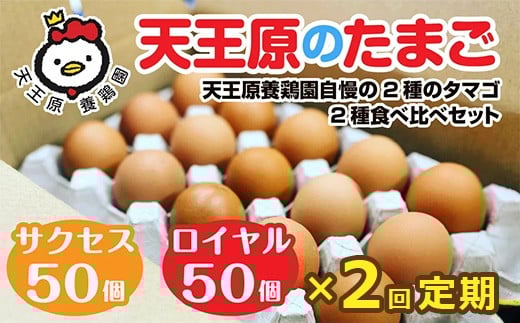 【定期便】2回定期 【天王原のたまご】 サクセス卵50個/ロイヤル卵50個【定期便 2回定期便 セット たまご 卵 玉子 タマゴ 濃厚  ハリ 弾力 ボリューム 甘味 旨味 卵黄 風味 生 コク 甘味 卵か
