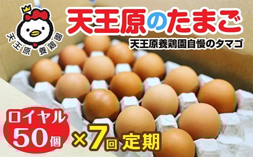 【定期便】7回定期 【天王原のたまご】 ロイヤル卵50個入り【定期便 7回定期便 セット たまご 卵 玉子 タマゴ 濃厚  ハリ 弾力 ボリューム 甘味 旨味 卵黄 風味 生 コク 甘味 卵かけご飯 卵焼