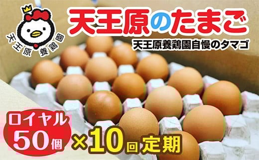 【定期便】10回定期 【天王原のたまご】 ロイヤル卵50個入り【定期便 10回定期便 セット たまご 卵 玉子 タマゴ 濃厚  ハリ 弾力 ボリューム 甘味 旨味 卵黄 風味 生 コク 甘味 卵かけご飯 卵