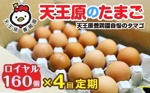 【定期便】4回定期 【天王原のたまご】 ロイヤル卵160個入り【定期便 4回定期便 セット たまご 卵 玉子 タマゴ 濃厚  ハリ 弾力 ボリューム 甘味 旨味 卵黄 風味 生 コク 甘味 卵かけご飯 卵焼