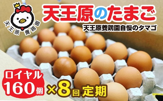 【定期便】8回定期 【天王原のたまご】 ロイヤル卵160個入り【定期便 8回定期便 セット たまご 卵 玉子 タマゴ 濃厚  ハリ 弾力 ボリューム 甘味 旨味 卵黄 風味 生 コク 甘味 卵かけご飯 卵焼