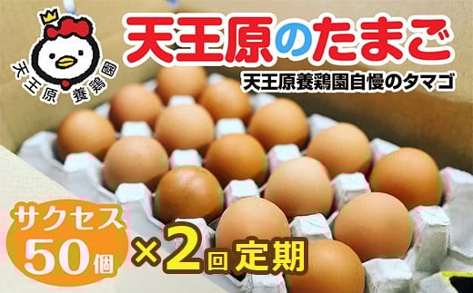 【定期便】2回定期 【天王原のたまご】 サクセス卵 50個入り 【定期便 2回定期便 セット たまご 卵 玉子 タマゴ 濃厚  ハリ 弾力 ボリューム 甘味 旨味 卵黄 風味 生 コク 甘味 卵かけご飯 卵
