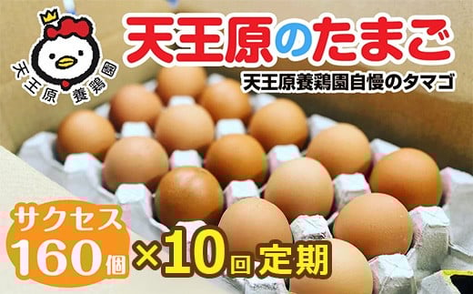 【定期便】10回定期 【天王原のたまご】 サクセス卵160個入り【定期便 10回定期便 セット たまご 卵 玉子 タマゴ 濃厚  ハリ 弾力 ボリューム 甘味 旨味 卵黄 風味 生 コク 甘味 卵かけご飯 卵