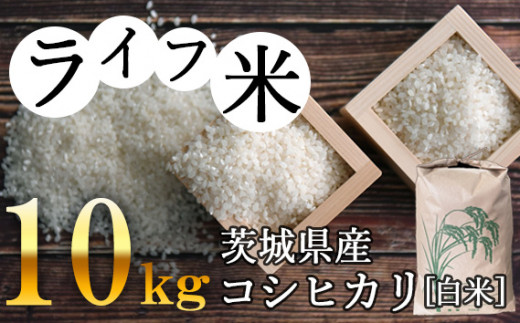 No.004 RVqJE 10kg@ߘa4NYyCtāz ^  ͂ Ђ 錧錧Ⓦs10000āEp